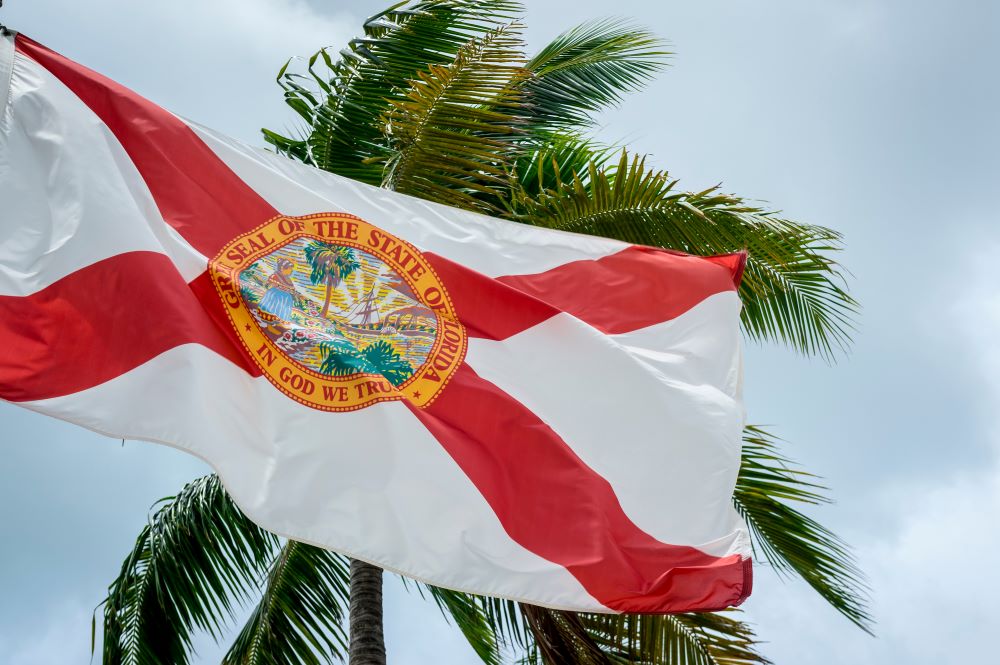 The Florida state flag waving in front of a palm tree.