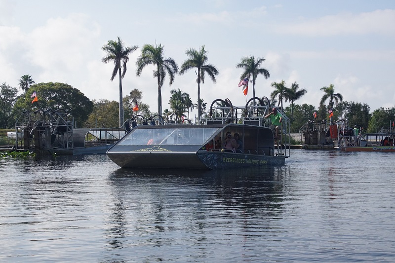 Airboat takes tourists into an everglades canal,