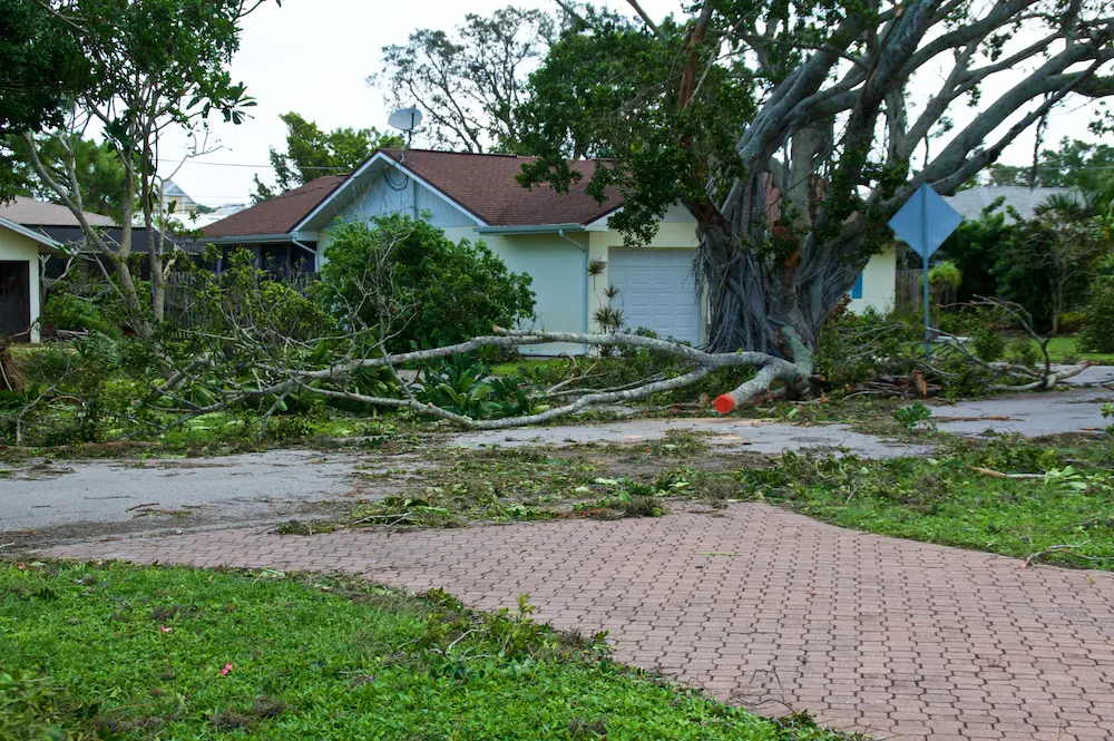 How to Prepare Yourself and Your Family for a Hurricane in Florida